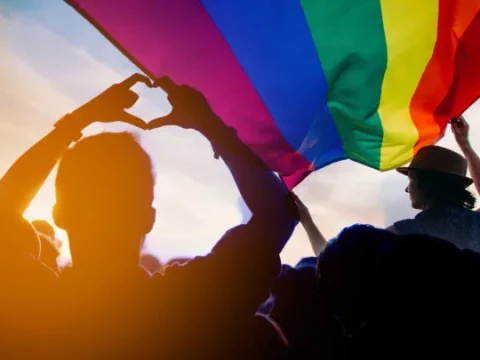 Hvad Er LGBTIQCAPGNGFNBA? LGBT+ Forkortelser Forklaret