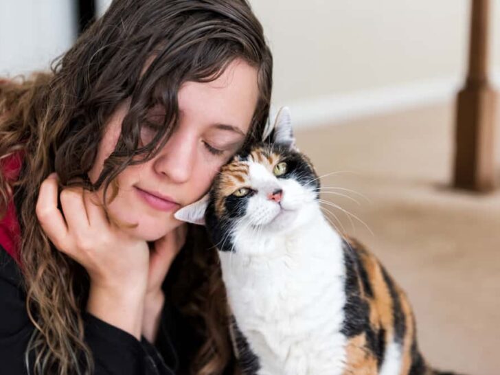 10 tegn på, at katte føler sig trygge ved dig med det samme